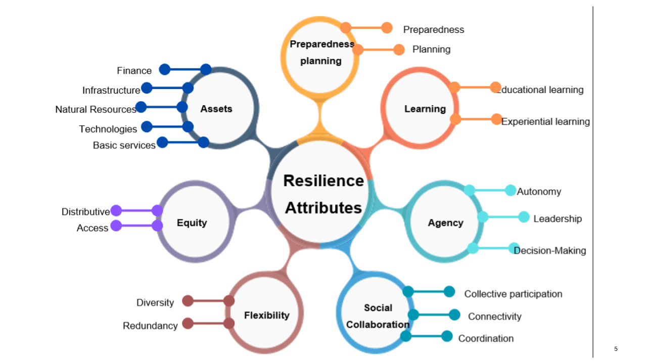 Resilience Attributes