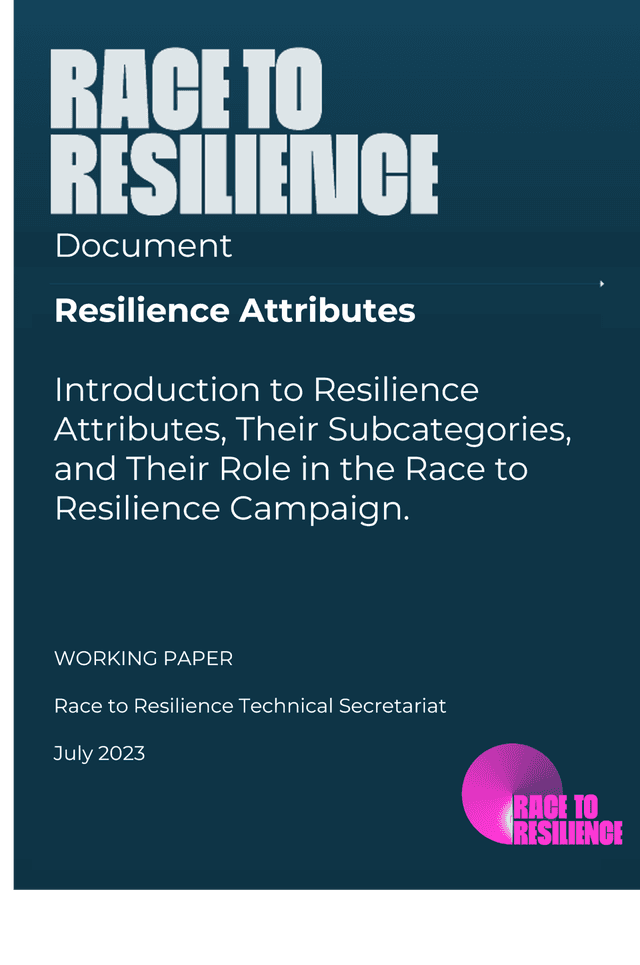 Resilience Attributes